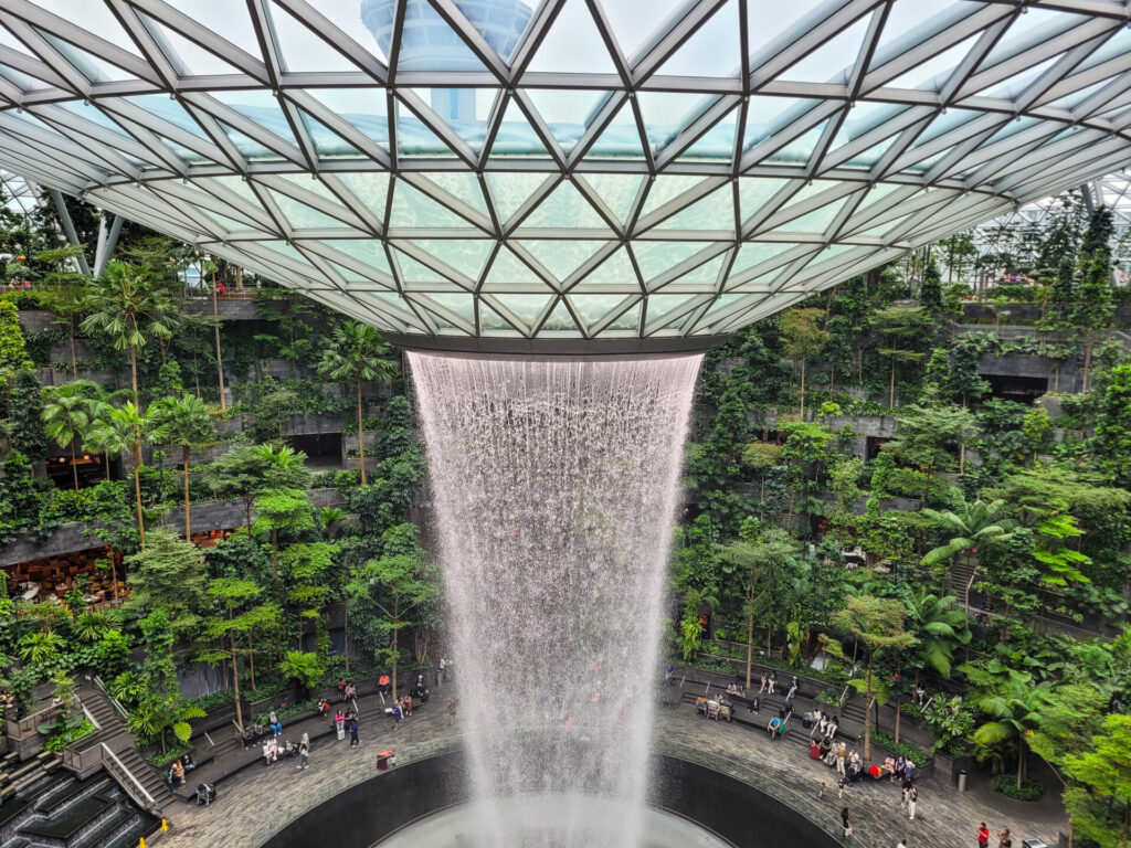 View from Canopy Bridge