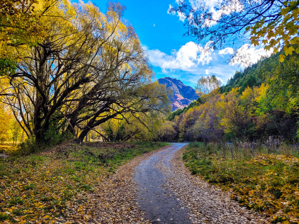 Tobin's Track in Arrowtown (autumn)