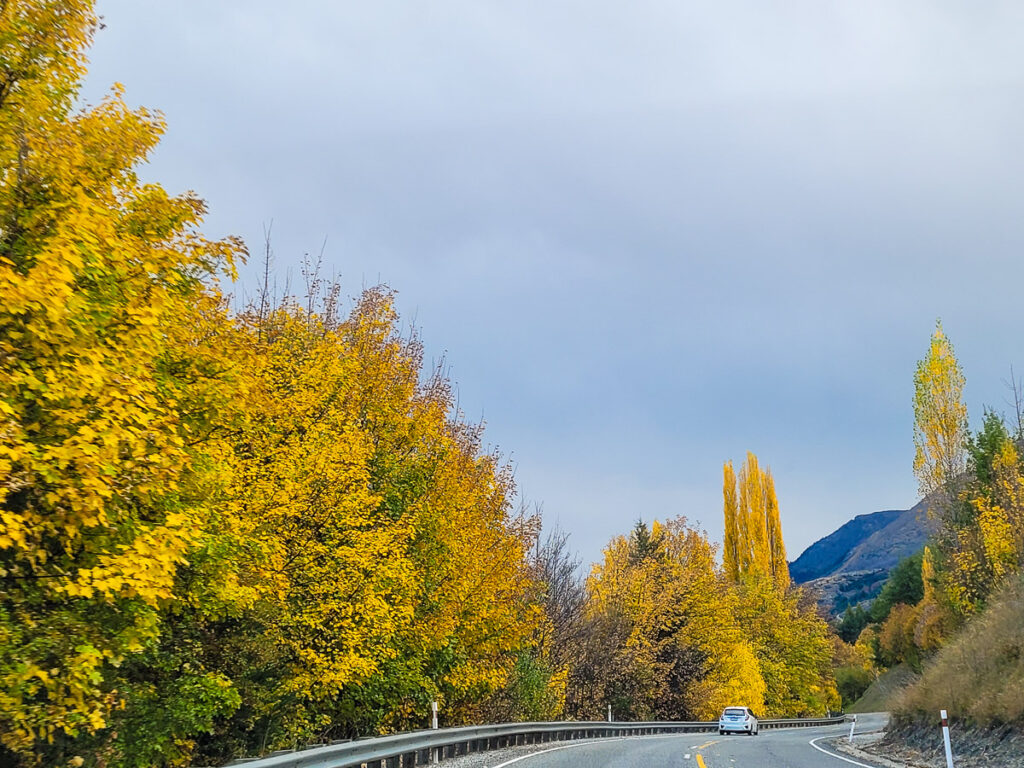 New Zealand autumn road trip