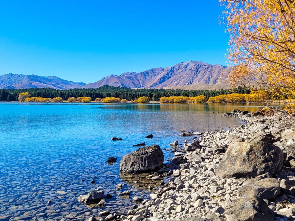 Lake Tekapo foreshore in autumn