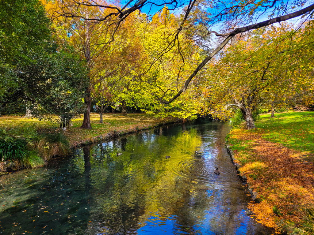 The Avon River in Christchurch