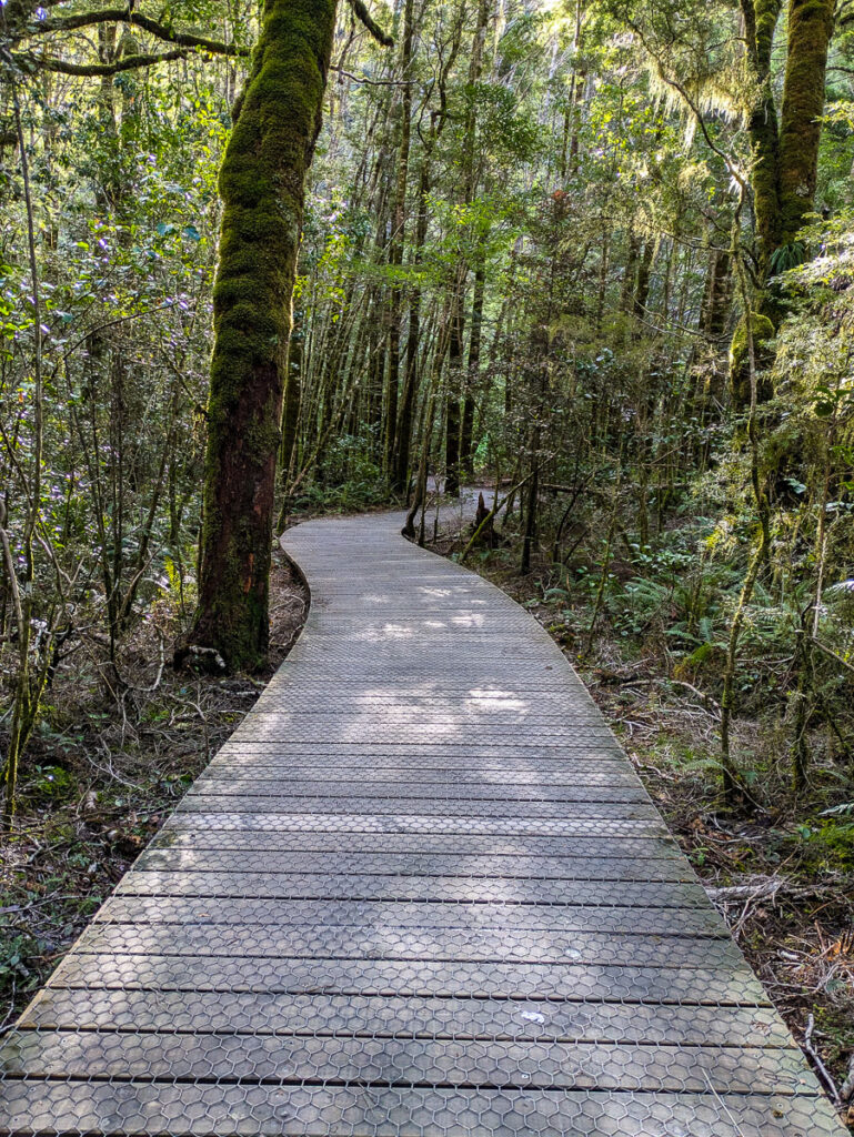 Boardwalk on the Blue Pools track