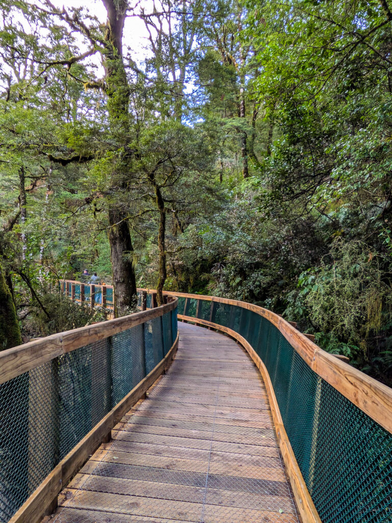 New board walk in the recently reopened Blue Pools track.